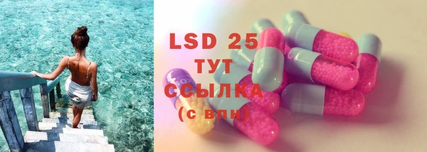 гашик Дмитров