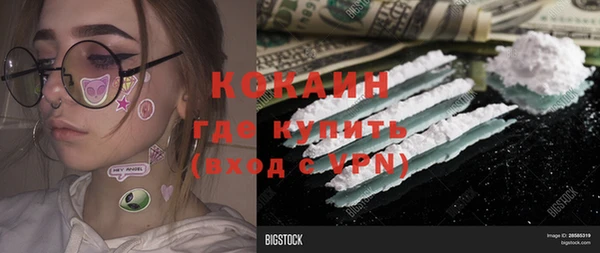 спайс Дмитриев