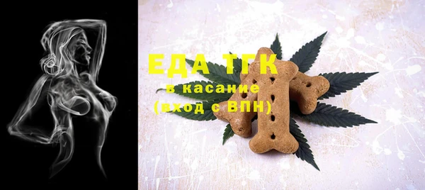 гашик Дмитров