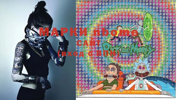 гашик Дмитров