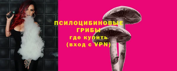 соль курить ск Дмитровск