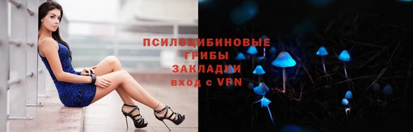 спайс Дмитриев