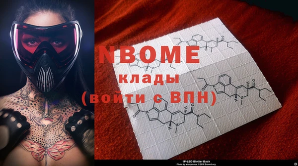 гашик Дмитров
