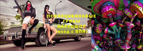 соль курить ск Дмитровск