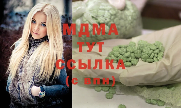 гашик Дмитров