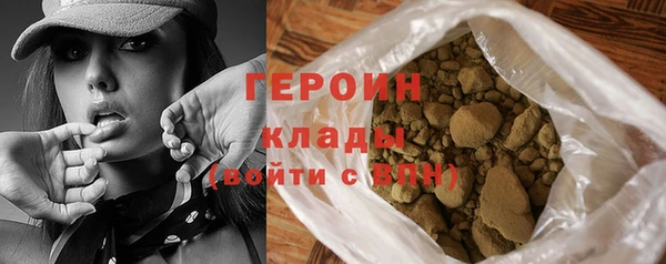 гашик Дмитров