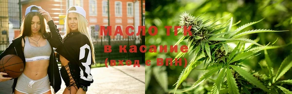 гашик Дмитров