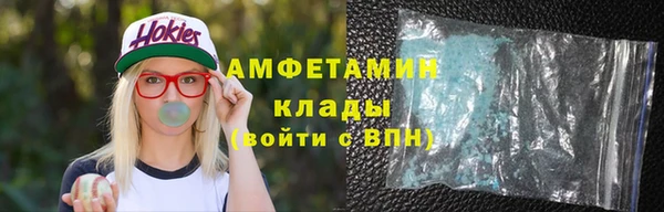 гашик Дмитров